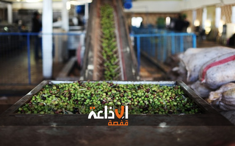  الإدارة الجهوية للهيئة الوطنية للسلامة الصحية للمنتجات الغذائية بسيدي بوزيد تقوم بزيارت ميدانية لعدد من معاصر زيت الزيتون