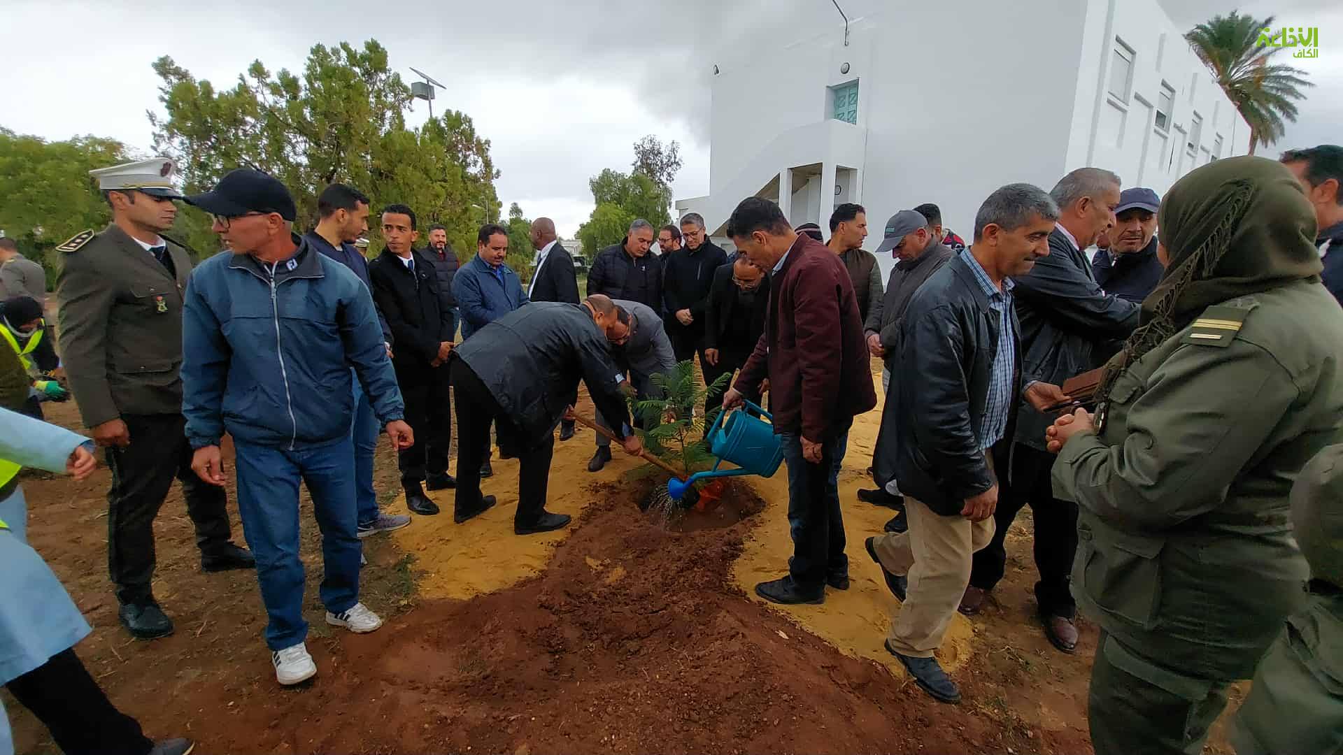 الكاف: توفير قرابة 113 ألف شتلة لاستعادة المنظومات الغابية واعادة الكساء النباتي