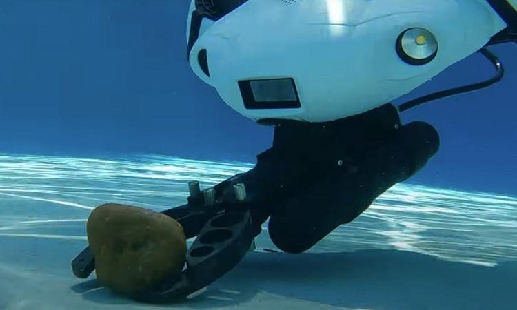 الصين.. إطلاق أداة ذكاء اصطناعي مخصصة لاستكشاف أعماق البحار