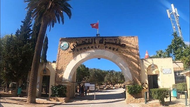 مدير عام الوكالة الوطنية لحماية المحيط : شعار شجرة لكل مؤسسة شمل العديد من المؤسسات التربوية والاستشفائية في مختلف جهات الجمهورية