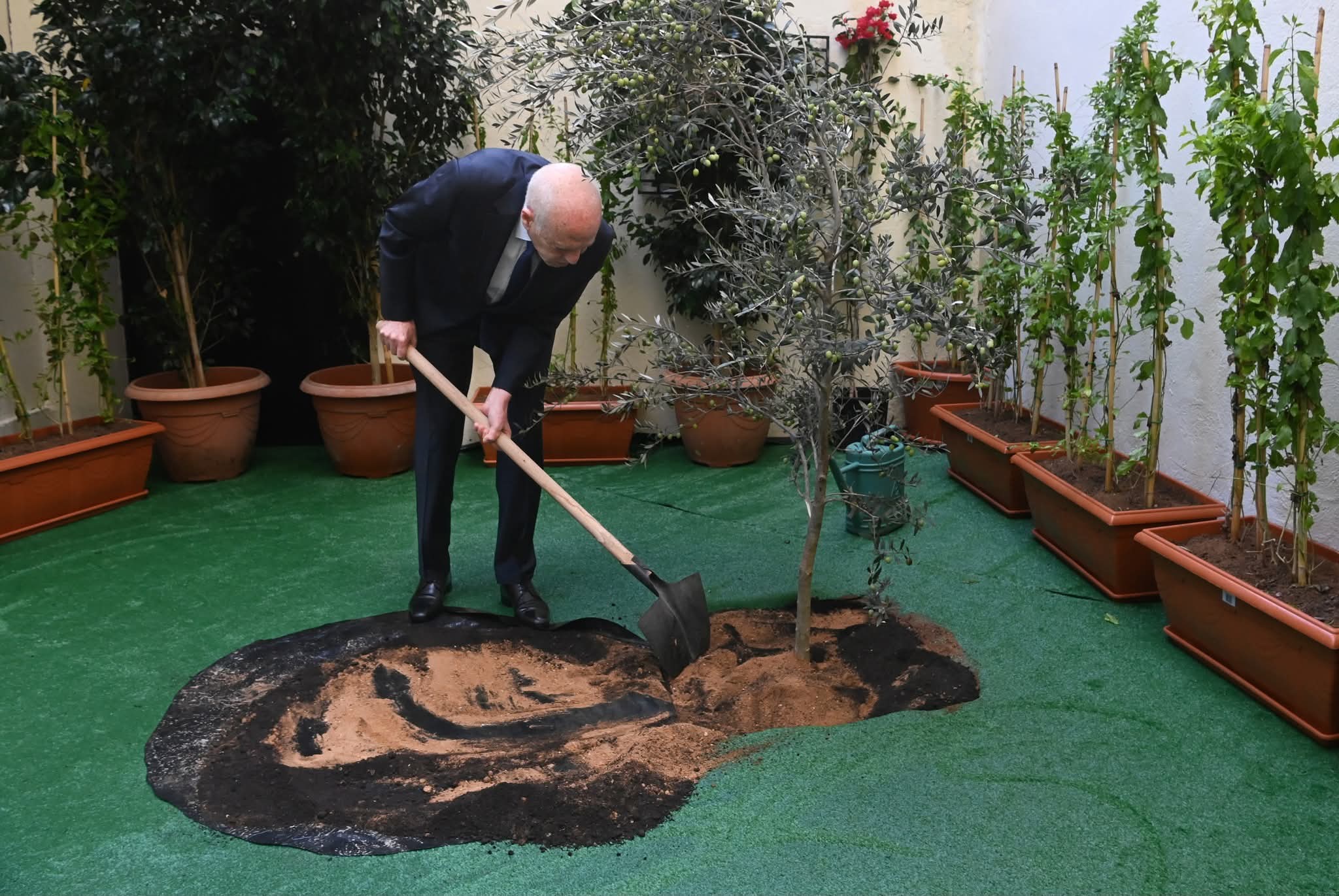 سعيد يشرف بمقر المجلس الأعلى للتربية على الإحتفال بعيد الشجرة