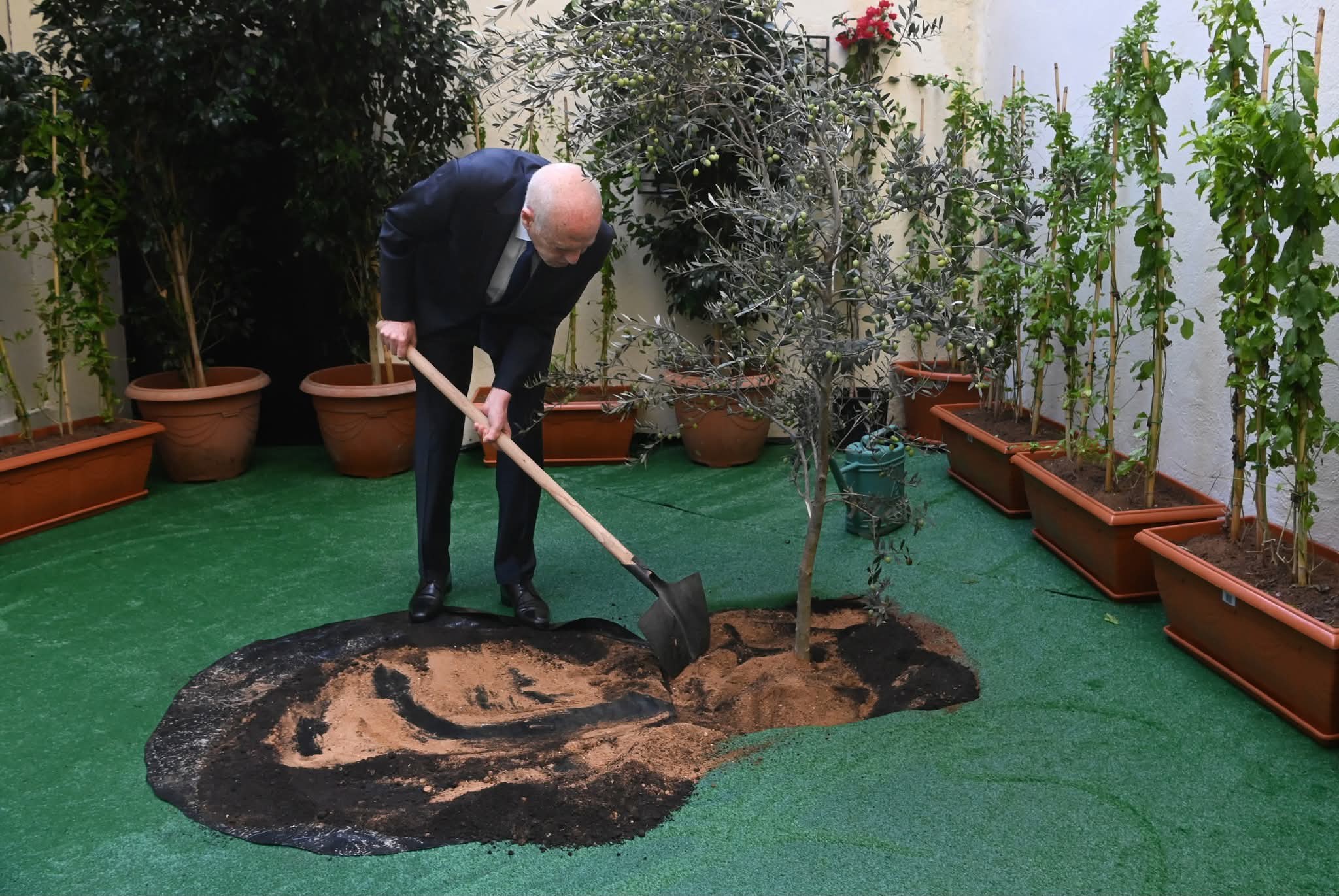 رئيس الجمهورية يشرف بمقر المجلس الاعلى للتربية والتعليم على الاحتفال بعيد الشجرة