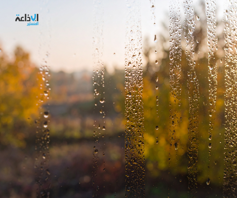 سحب احيانا كثيفة مع امطار متفرقة بالمناطق الساحلية الشمالية الاثنين