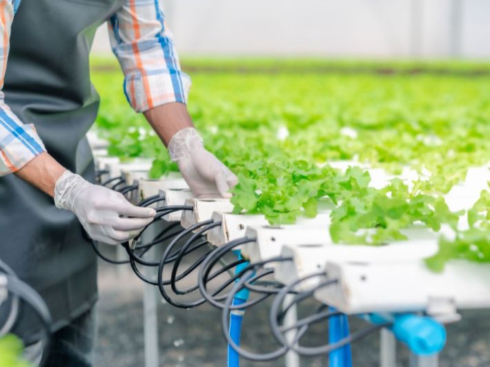 صالون التقنيات الزراعية الحديثة والتكنولوجيات المائية من 12 الى 15 نوفمبر 2025 بالمعرض الدولي بقابس