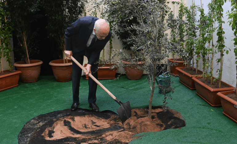 Kaïs Saïed célèbre la Fête de l’Arbre au siège du Conseil supérieur de l’éducation