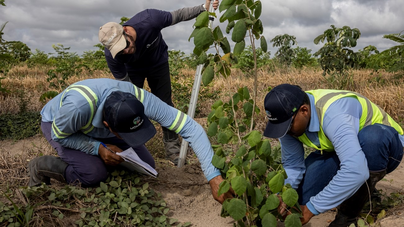 Le ministre de l’Environnement annonce le lancement du projet « Ceinture verte » pour 2026