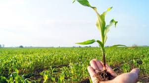 سوسة: افتتاح ورشة التخطيط الاستراتيجي لناشري المعارف في الزراعة البيولوجية والايكولوجية.