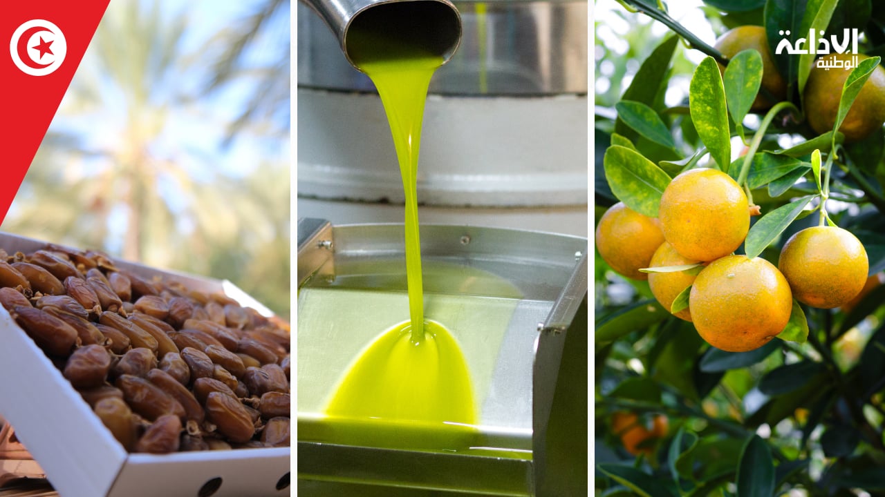 وزير التجارة يؤكد ضرورة تظافر الجهود لإنجاح خزن وترويج زيت الزيتون والتمور والقوارص