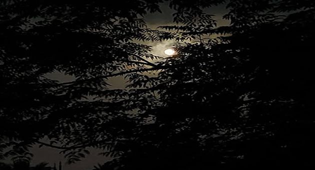 الليلة: الحرارة بين 10 و16 درجة