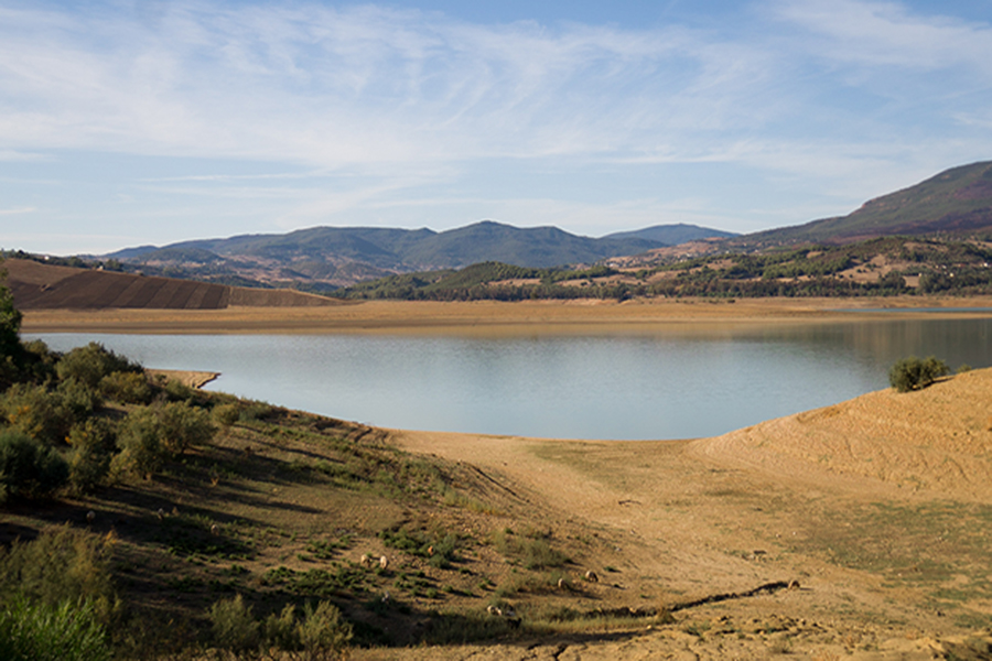  جندوبة: الشروع في جبر أضرار أصحاب المستغلات الفلاحية التي انتزعت منهم لتوسعة سد بوهرتمة