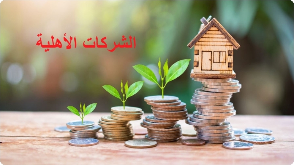  وزير تكنولوجيات الاتصال يعلن عن انطلاق اسغلال منصة الشركات الأهلية 