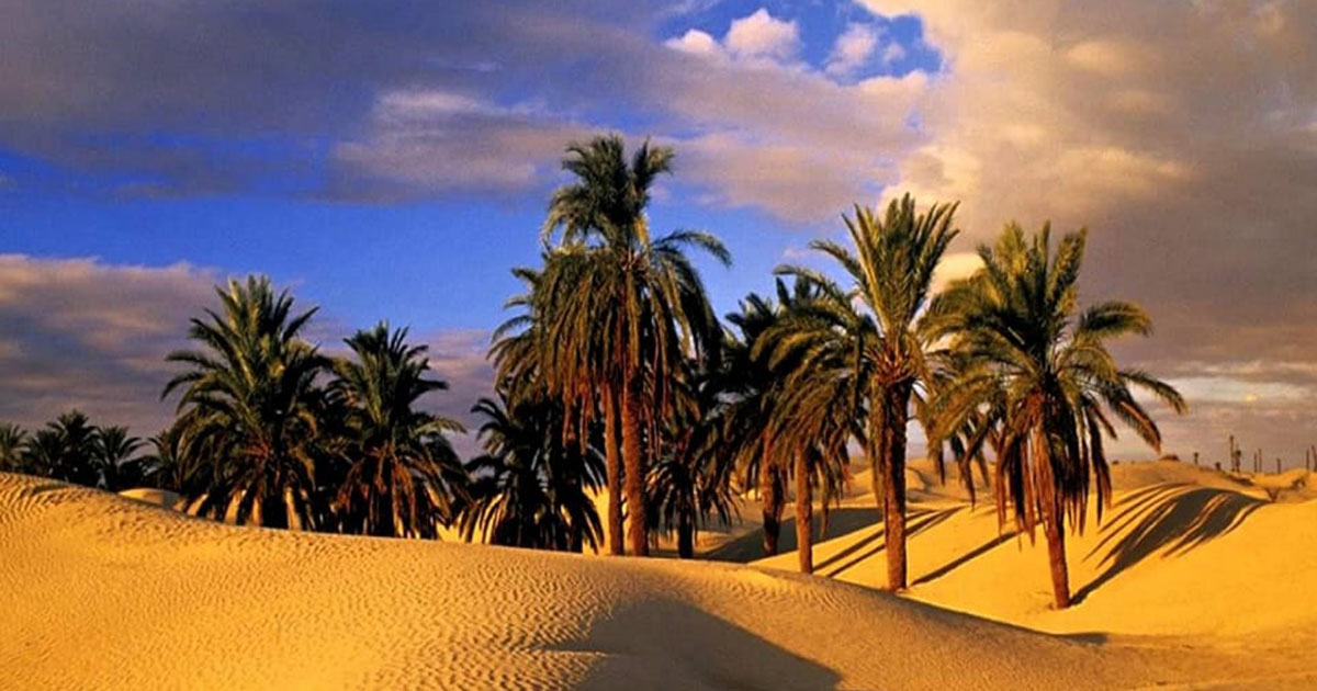 الحرارة في ارتفاع طفيف الثلاثاء