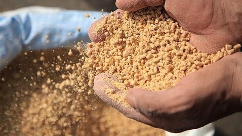 الاتحاد الجهوي للفلاحة بقابس: الحاجة ملحة للترفيع في حصة الجهة من الأعلاف 