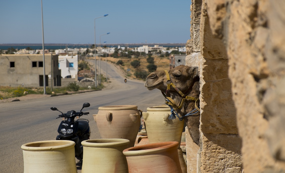 جربة: المصادقة على وثيقة العمل التوجيهية للتصرف في المناطق المصنفة تراث عالمي