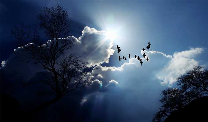 الليلة: الحرارة بين 10 و19 درجة