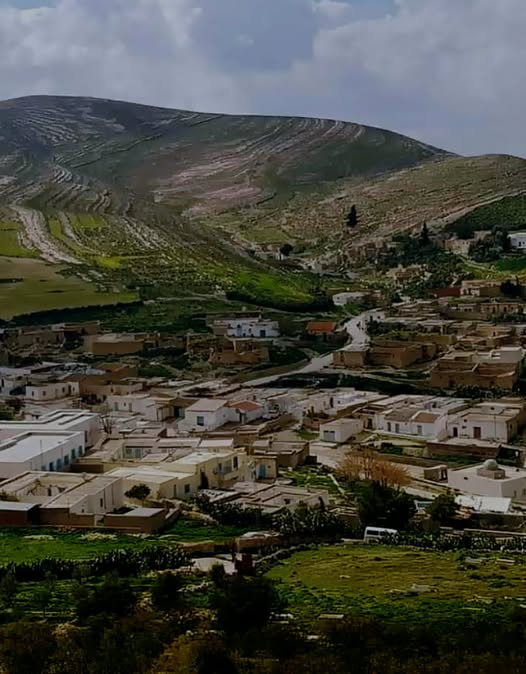 الكاف :  بمنطقة اللاس من معتمدية السرس افتتاح موسم جني الزيتون وتحويله  وسط تقديرات بصابة جيدة تقدر ب18 الف طن   