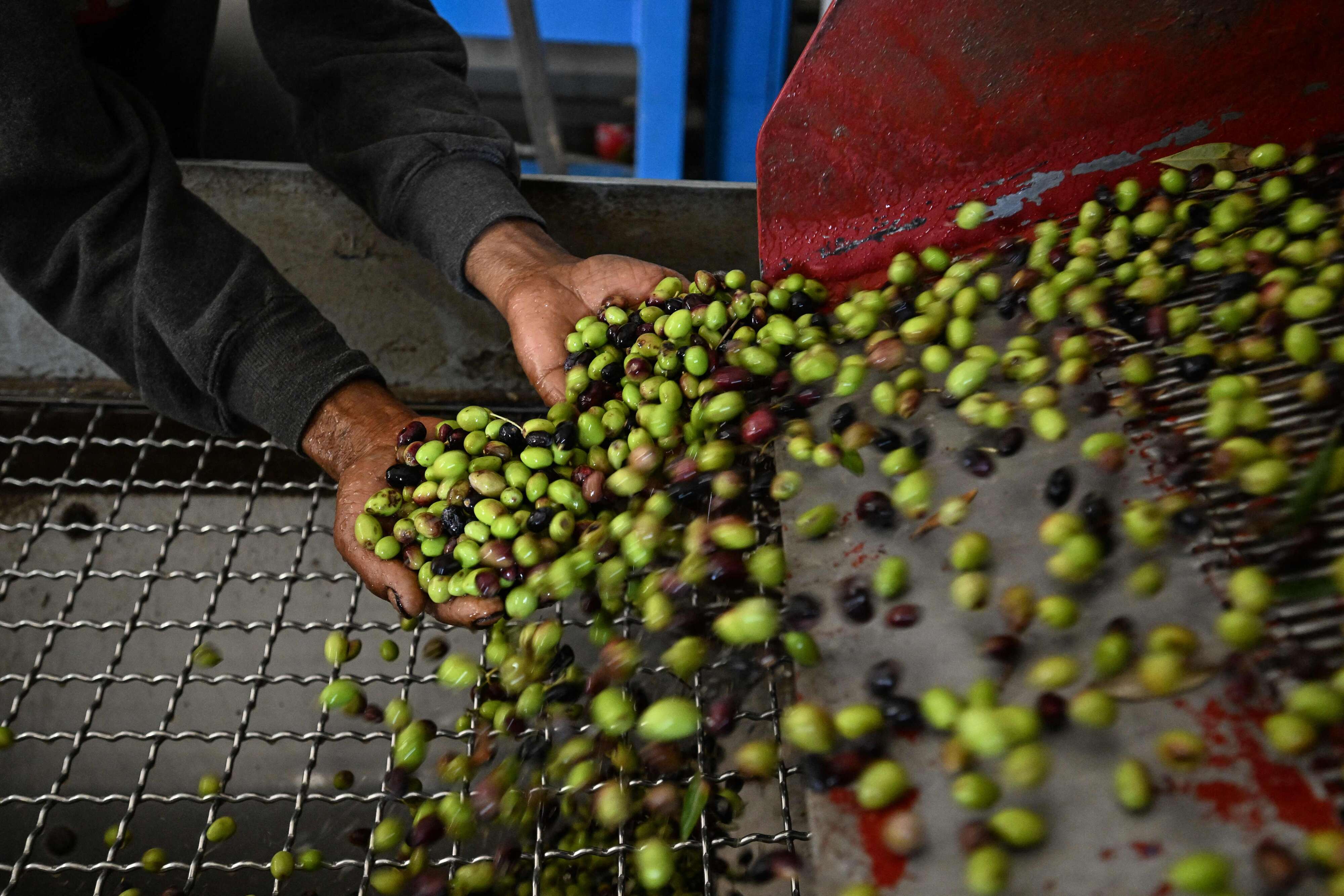 المجلس الوطني للاعتماد يوسع مجال نشاطه ليشمل اعتماد قطاع الفلاحة البيولوجية