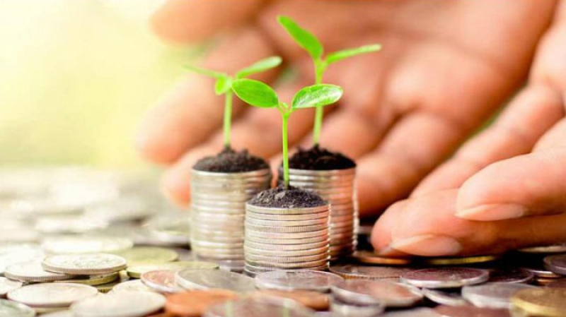 مفتي الجمهورية يعلن عن مقدار زكاة الزيتون والتمر وسائر الثمار