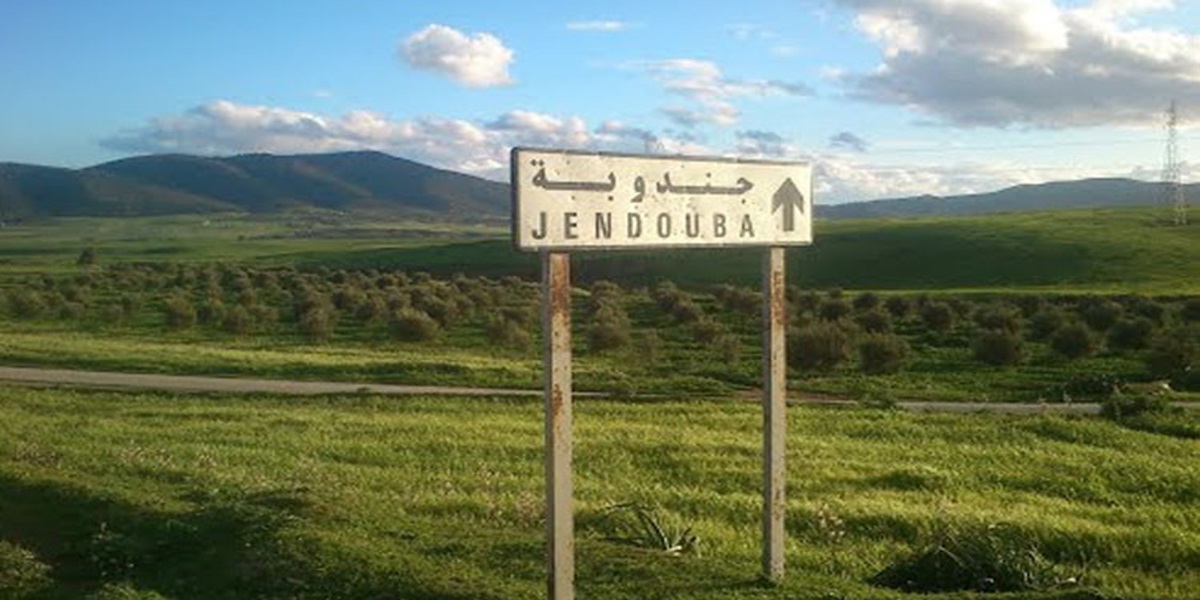 جندوبة: متابعة مركزية لمشاريع التزوّد بالماء الصالح للشرب والنظر في سبل معالجة عجز الموازنة المائية في بعض المناطق