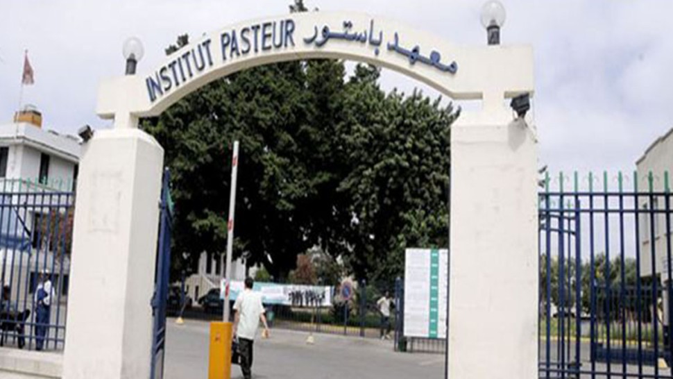 معهد باستور بتونس: عدد براءات الاختراع المودعة غير كافٍ ولا يتجاوز 5 سنويا