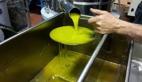 قبول زيت الزيتون من صغار الفلاحين بالمراكز الجهوية للديوان الوطني للزيت بداية من الاثنين 17 نوفمبر