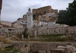 الكاف : مراقبة اللحوم الحمراء بالمسالخ البلدية و تفقد  مراكز  تجميع الحليب