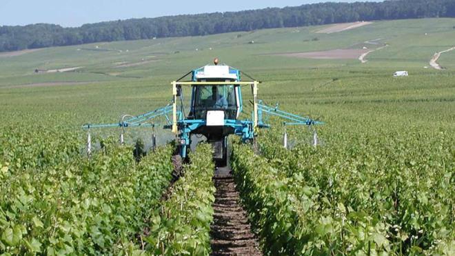 ممثلون عن المنظمة الفلاحية يشددون على ضرورة اتخاذ قرارات جريئة لمزيد دعم القطاع الفلاحي