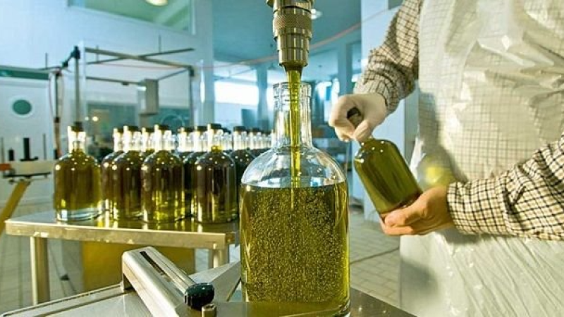 تونس ستصدر قرابة 40 الف طن من زيت الزيتون المعلب خلال الموسم الحالي
