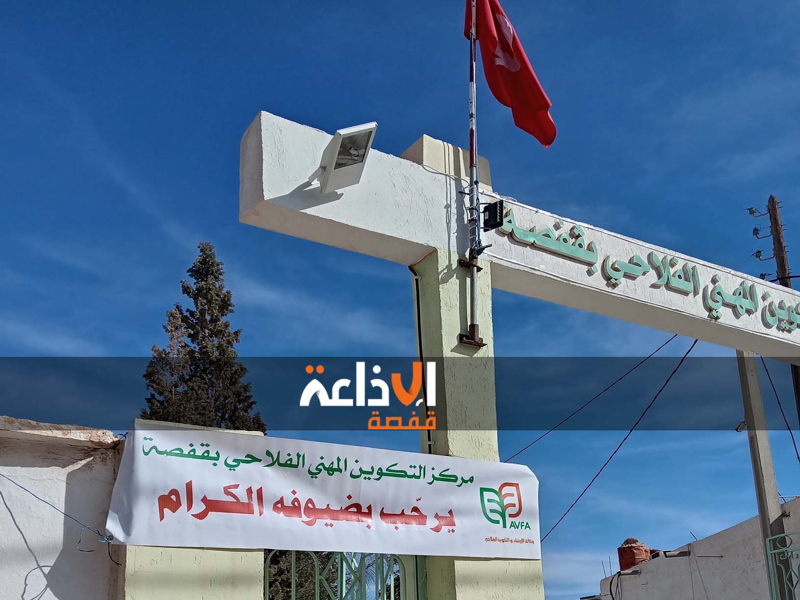 قفصة : مركز التكوين المهني الفلاحي بالقصر ينظم يوما تكوينيا في مجال غراسة شجرة الخروب وتقنيات تقليمها وفوائدها