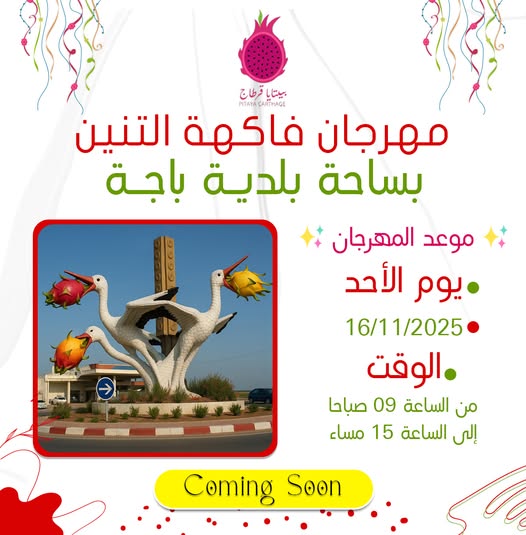 غدا افتتاح الدورة الأولى لمهرجان فاكهة التنين بباجة للتعريف بهذه الثمار والتشجيع على زراعتها