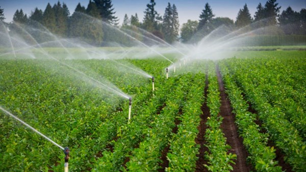 جندوبة: انطلاق أشغال صيانة شبكات الري بعدد من المناطق السقوية العمومية