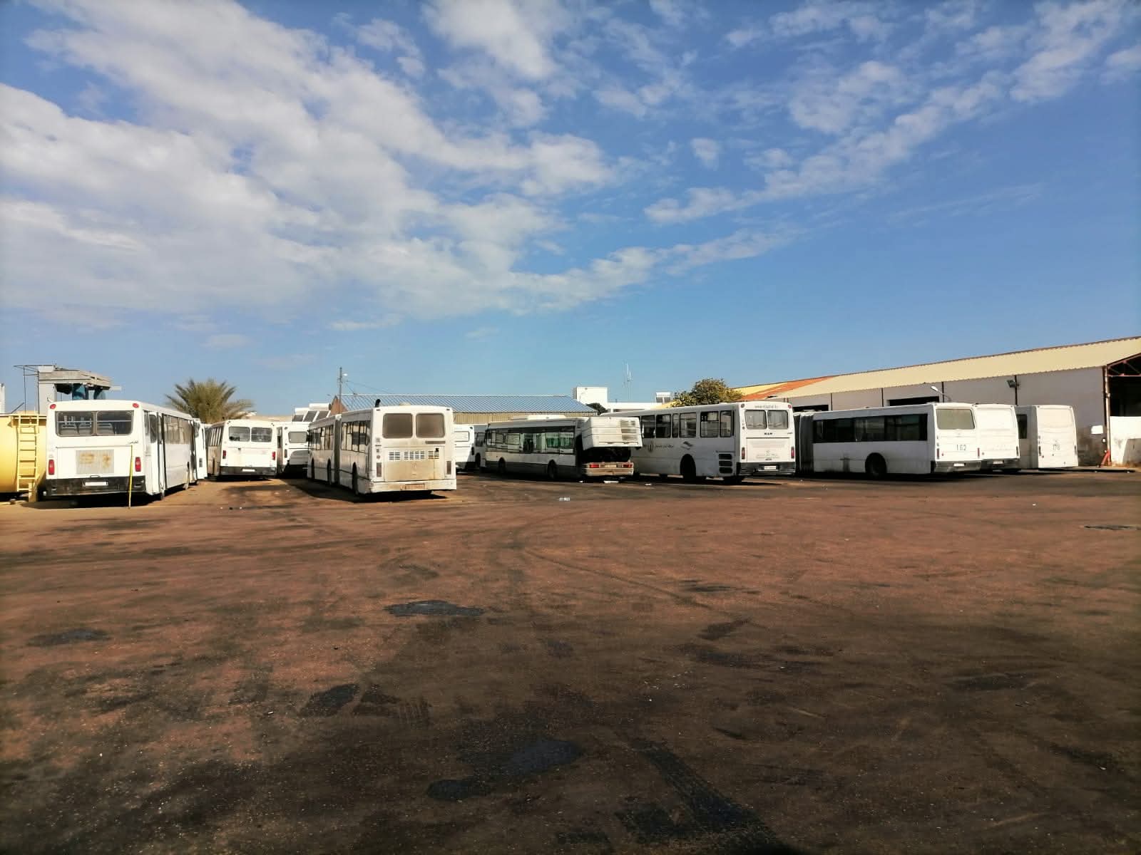 شركة النقل بالساحل تنتظر تسلّم دفعات لحافلات من خلال إقتناءات جديدة خلال موفّى سنة 2025 وسنة 2026