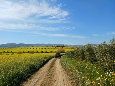 طقس مغيم  و الحرارة تتراوح  بين 25 و 30 درجة
