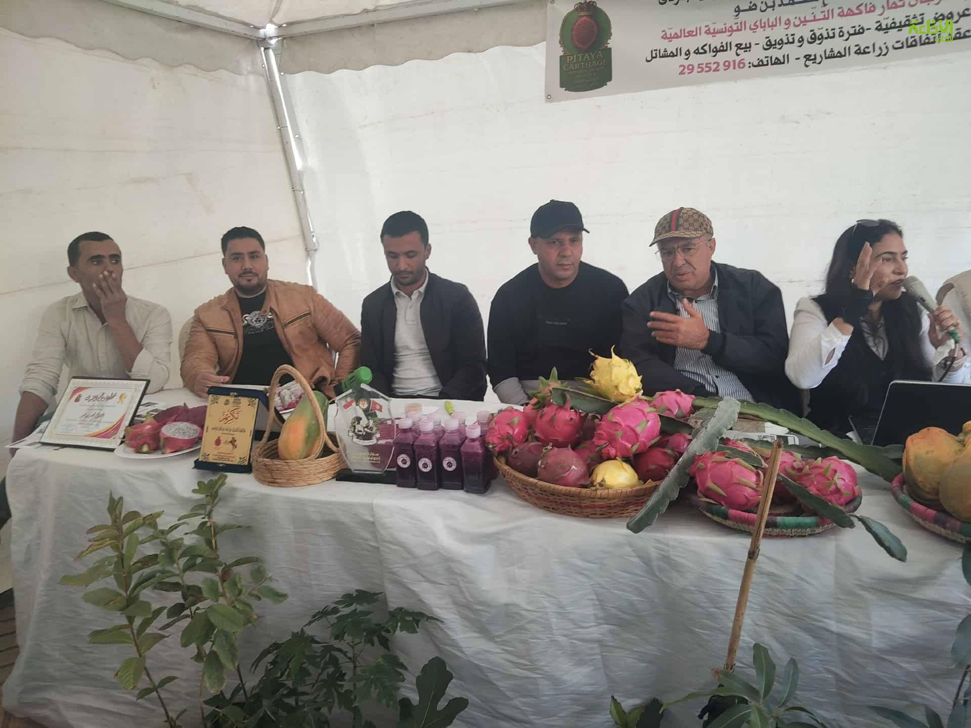 باجة: انعقاد الدورة الاولى لمهرجان فاكهة التنين التي تهدف الى التعريف بهذه الثمار وتشجيع الفلاحين على زراعتها