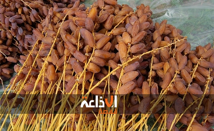 قبلي : ارتفاع الإنتاج الجملي من التمور البيولوجية بالجهة لهذا الموسم  بحوالي 5500 طن