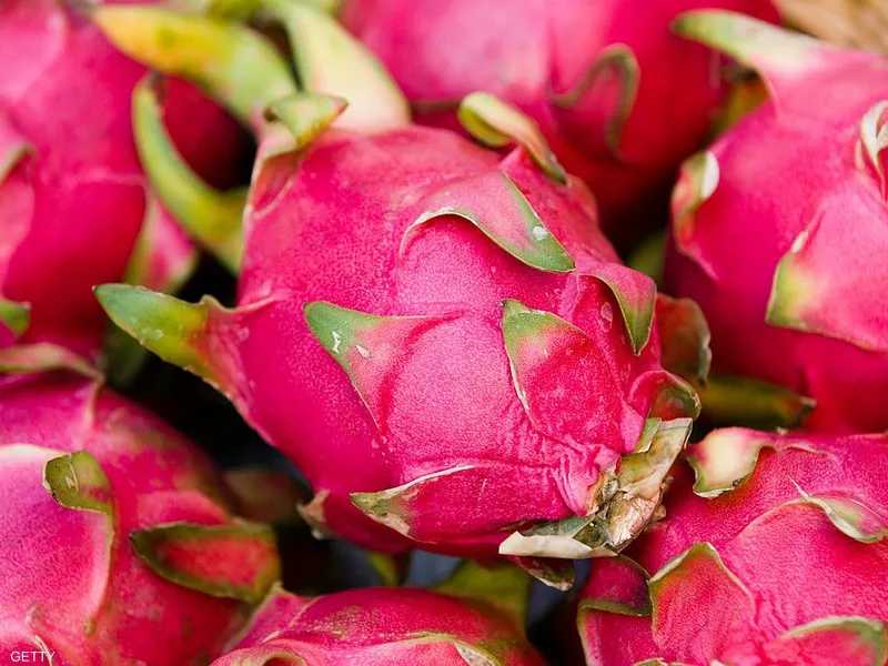 تجربة رائدة: زراعة الغلال الآسيوية في تونس بين النجاح والتوثيق