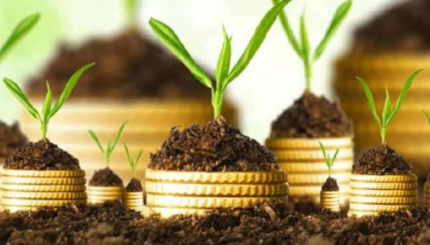 الاستثمارات الدولية في تونس ترتفع بنسبة 28,1 بالمائة