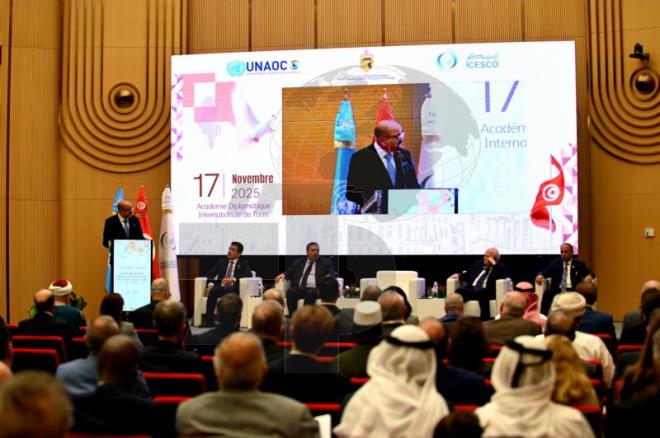 تونس تدعو الى إدماج البعد الرقمي ضمن أولويات تحالف الامم المتحدة للحضارات وتوظيف التكنولوجيا في التقريب بين الشعوب