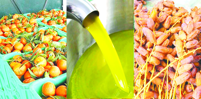 اعتماد إجراءات إستثنائية لتنظيم عمليات توزيع منتوجات التمور والتفاح والقوارص والرمان والزيتون