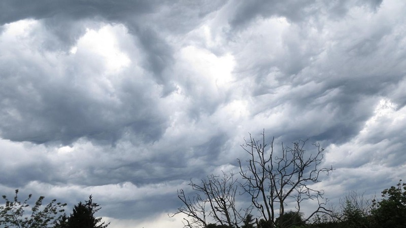 اليوم: سحب كثيفة مع امطار بالمناطق الساحلية والحرارة في انخفاض.