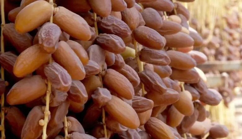بداية من الغد: خيمة بشارع الحبيب بورقيبة لترويج التمور بأسعار تفاضلية