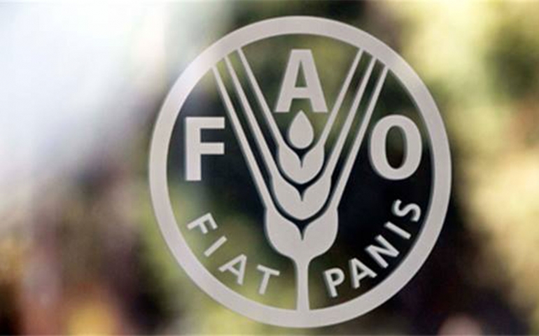 انطلاق أشغال ورشة العمل الإقليمية المخصصة لتعزيز الإستثمار المسؤول وريادة الأعمال للشباب في القطاع الفلاحي