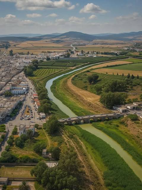 افتتاح المنتزه الأخضر "قرين بارك" بمجاز الباب
