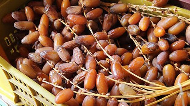 تونس تنجح في تسجيل خصائص تمورها في المواصفة الدولية للدستور الغذائي الجديدة المتعلقة بالتمور الطازجة