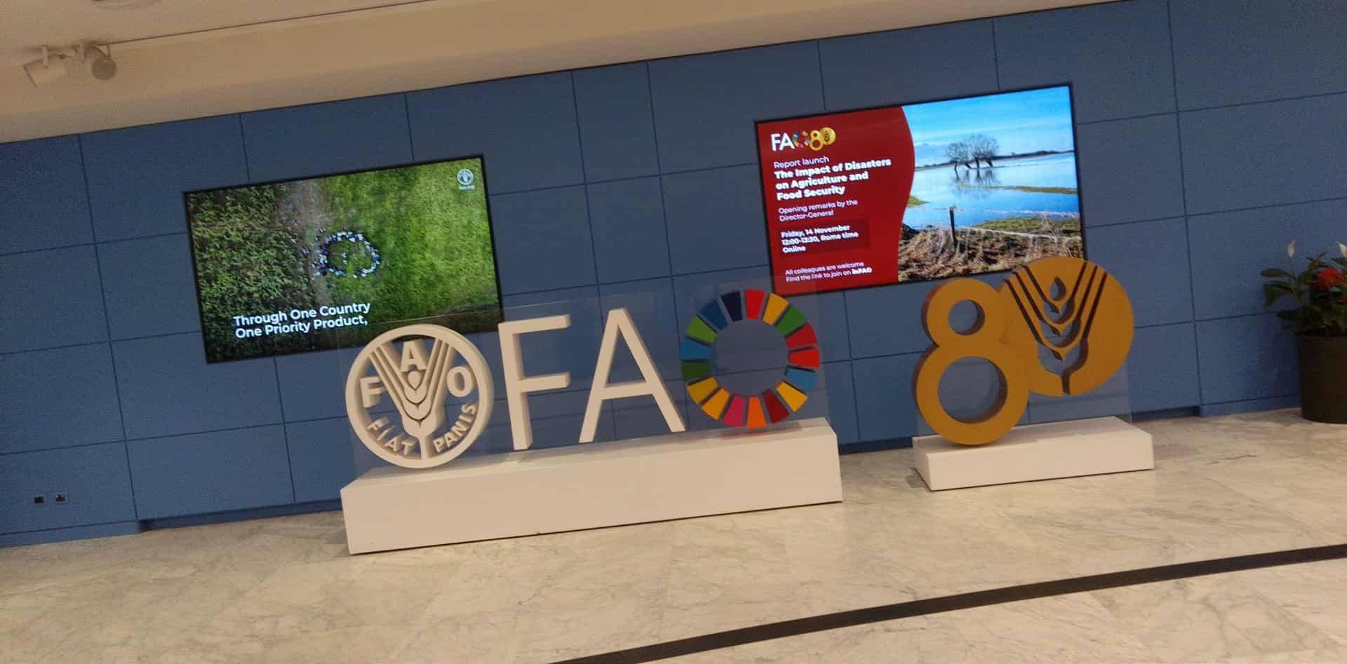 تونس تنجح في تسجيل خصائص تمورها في المواصفة الدولية للدستور الغذائي الجديدة المتعلقة بالتمور الطازجة