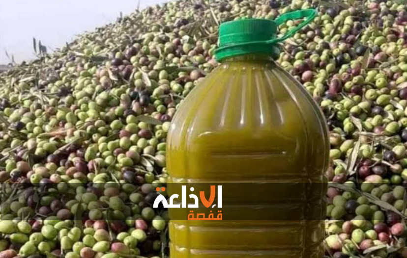 القصرين : ورشة عمل حول اعتماد التقنيات و الأساليب الفلاحية الضرورية لتحسين جودة زيت الزيتون البيولوجي 