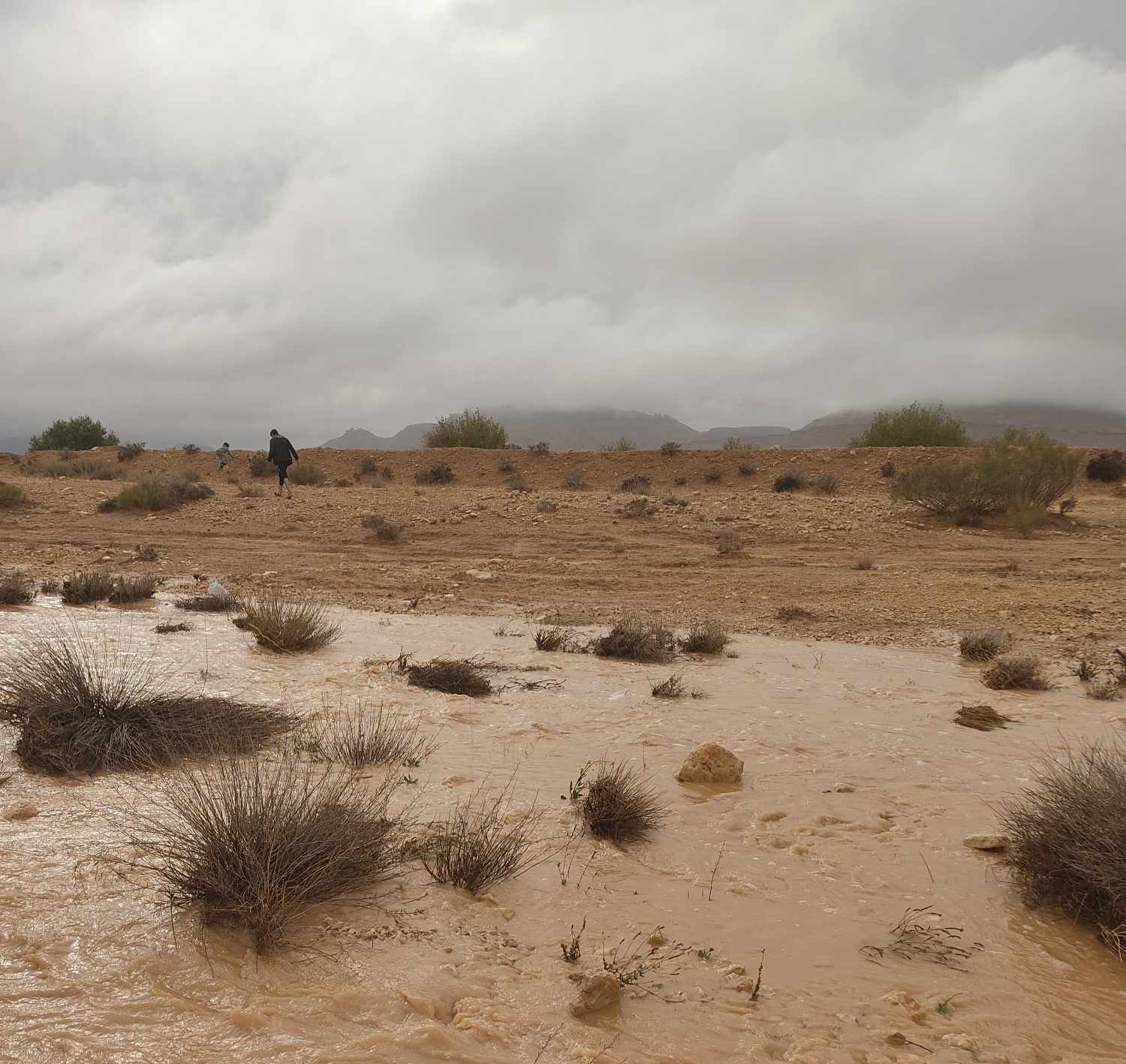 قبلي: أمطار هامة تعمّ عدداً من المناطق وتحمل تأثيرات إيجابية على المراعي الصحراوية