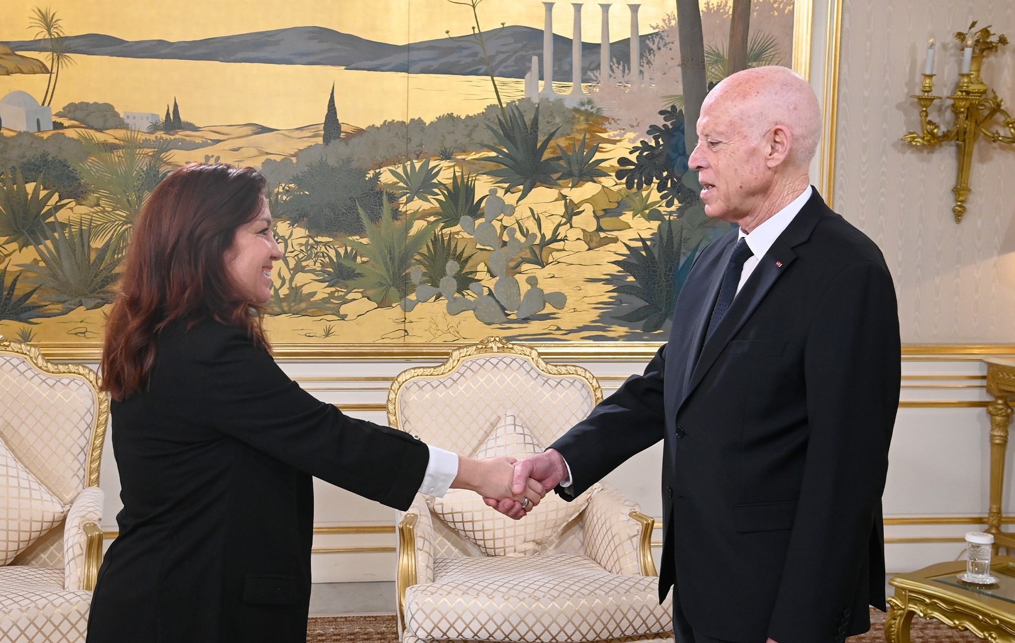 رئيس الجمهورية يلتقي سفيرة جمهورية كوبا لدى تونس بمناسبة انتهاء مهامها