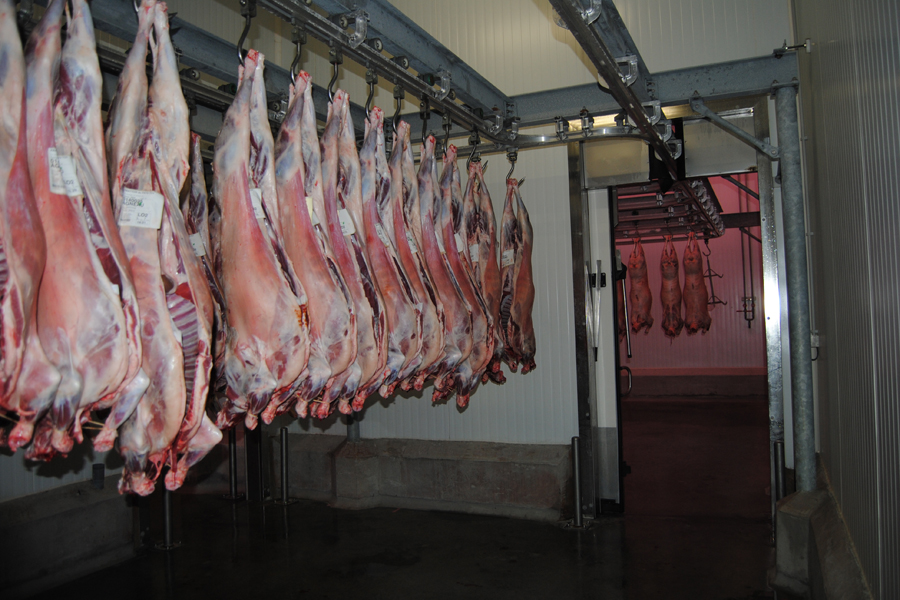  المسلخ البلدي بالقيروان: استكمال أشغال الصيانة وإجراء جديد يدخل حيز التطبيق الإثنين المقبل