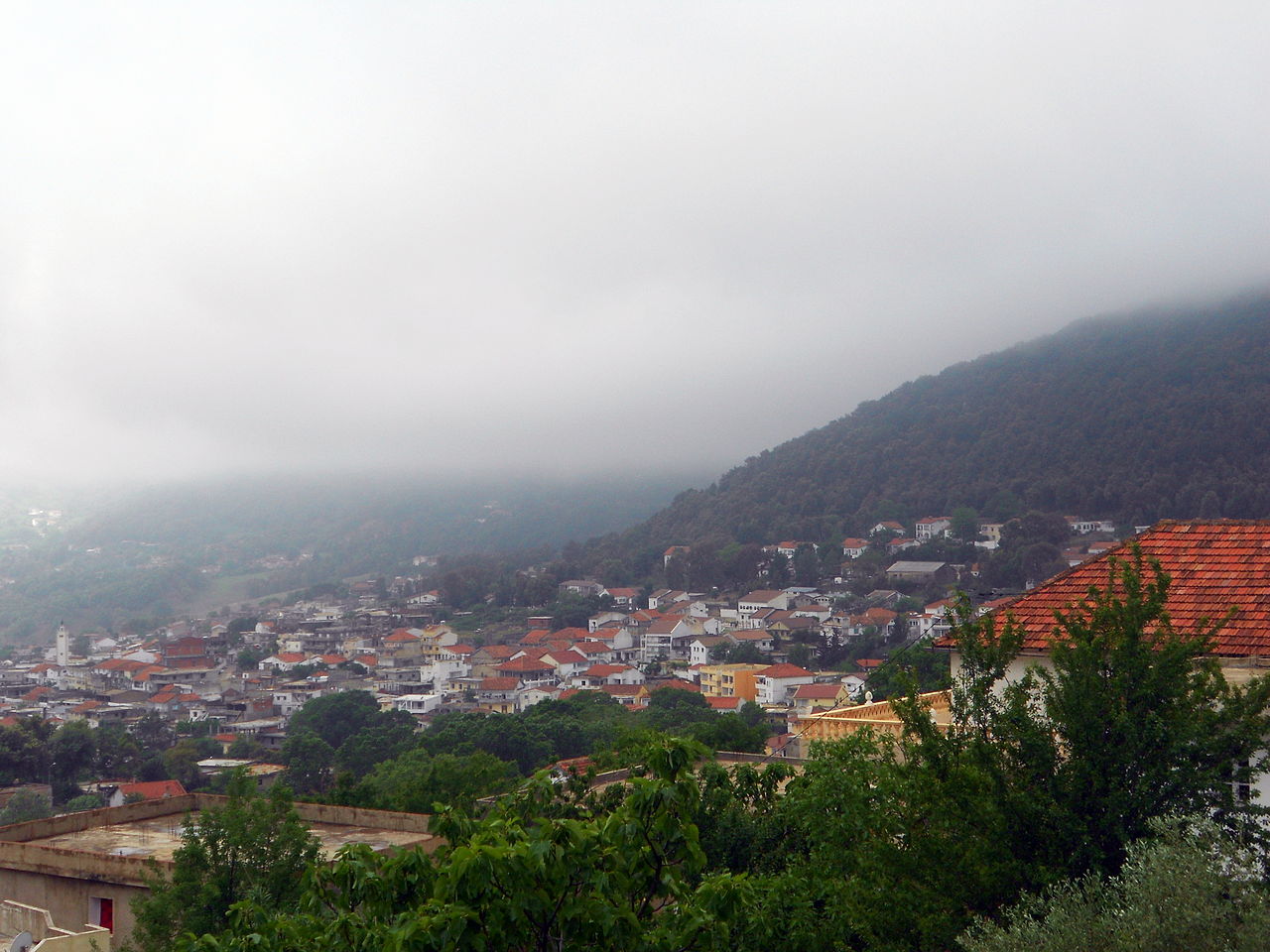 تواصل انخفاض درجات الحرارة الاحد